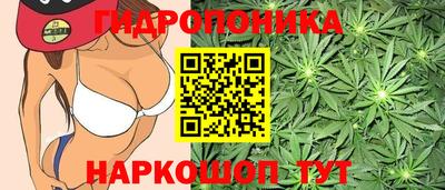 бошки Заводоуковск