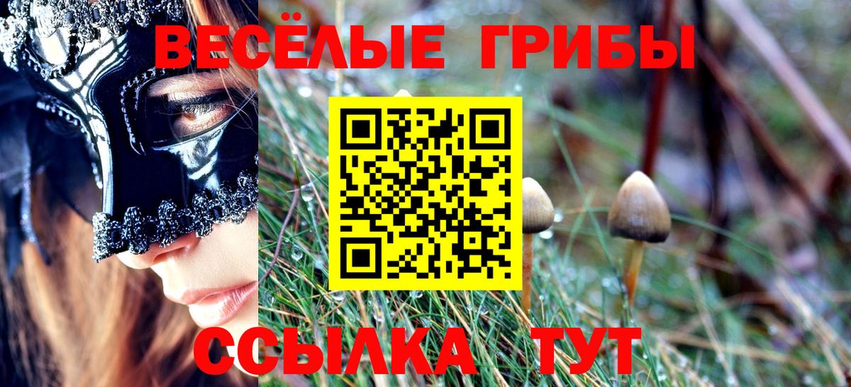 Знаменск  Галлюциногенные грибы мухоморы  Галлюциногенные грибы ЛСД  Вход с VPN 