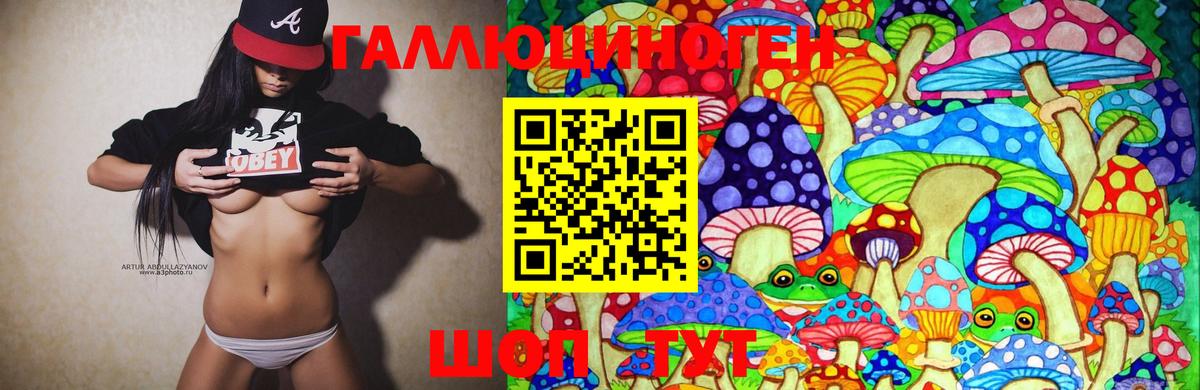 Псилоцибиновые грибы мицелий Знаменск